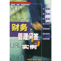财务管理问答与实例/三资企业日常管理实务丛书