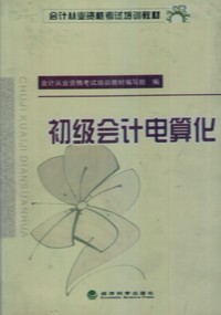初级会计电算化