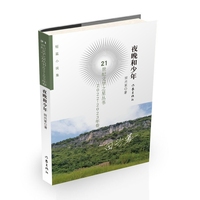 夜晚和少年 21世纪文学之星丛书2022 2023年卷