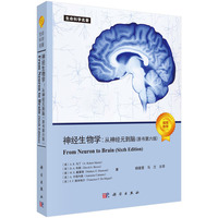 神经生物学：从神经元到脑（原书第六版）