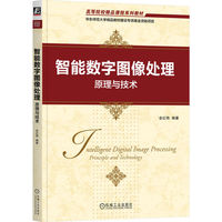 智能数字图像处理:原理与技术