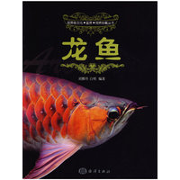 龙鱼