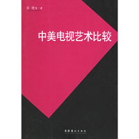 中美电视艺术比较