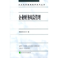 企业财务风险管理（企业财务管理指导系列丛书）