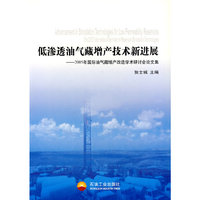 低渗透油气藏增产技术新进展-2005年国际油气藏增产改造学术研讨会论文集