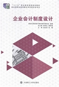 企业会计制度设计