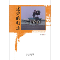 迷失的归途