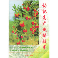 枸杞高产栽培技术