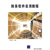 财务软件实用教程