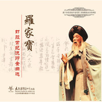 《罗家宝——虾腔世纪流行金曲选》