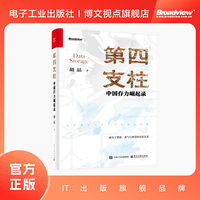 第四支柱：中国存力崛起录
