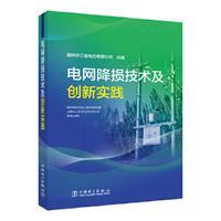电网降损技术及创新实践