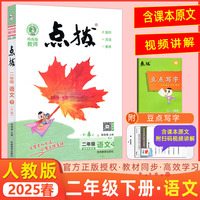 2025春特高级教师点拨二年级语文下册人教版小学2年级同步教材全解全析完全解读小学特高级教师讲解出版