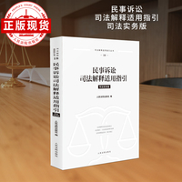 民事诉讼司法解释适用指引