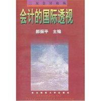 会计的国际透视(三友会计论丛)