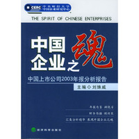 中国企业之魂：中国上市公司2003年报分析报告