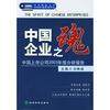 中国企业之魂：中国上市公司2003年报分析报告