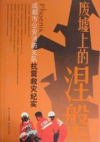 废墟上的涅槃：成都市公安消防支队抗震救灾写实