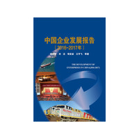 中国企业发展报告（2016~2017年）