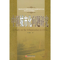 中国城市化问题研究