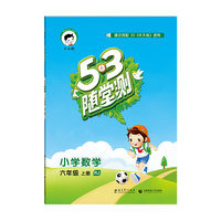 小学数学-六年级上册-RJ-5.3随堂测