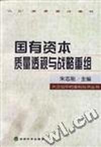 国有资本质量透视与战略重组