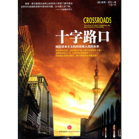 十字路口：疯狂资本主义的终结和人类的未来