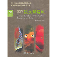 家养淡水观赏鱼-02