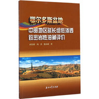 鄂尔多斯盆地中部地区延长组低渗透致密岩性油藏评价