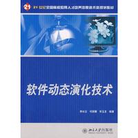 软件动态演化技术
