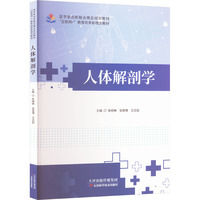 人体解剖学