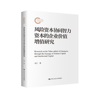 风险资本协同智力资本的企业价值增值研究（国家社科基金后期资助项目）