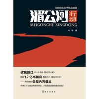 湄公河行动