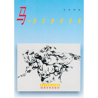 马·速写参考资料