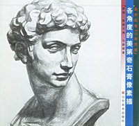 各角度的美第奇石膏像素描/美术高考心有灵犀
