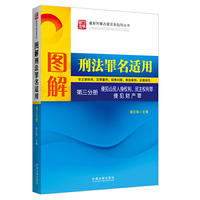 图解刑法罪名适用（第三分册）侵犯公民人身权利、民主权利罪—最新刑事办案实务指南