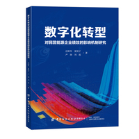 数字化转型对民营能源企业绩效的影响机制研究