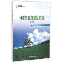 HSE管理经验汇编（2013年）