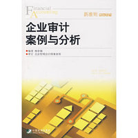 企业审计案例与分析