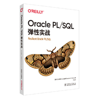 Oracle PL/SQL弹性实战