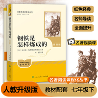 钢铁是怎样炼成的 七年级下 名著阅读课程化丛书 升级版 人民教育出版社