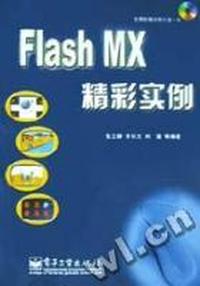 Flash MX 精彩实例(含盘)
