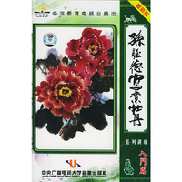 孙钰德写意牡丹 系列讲座 入门篇 最新版(VCD)