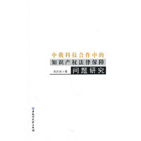 中俄科技合作中的知识产权法律保障问题研究