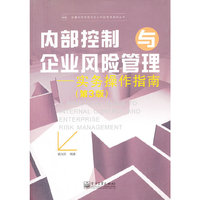 内部控制与企业风险管理:实务操作指南(第3版)