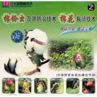 棉铃虫及其防治技术、棉花栽培技术2（VCD）