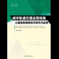 城市轨道交通运营线路土建结构维修技术研究与应用