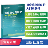 重症脑电图监护: 床旁快速判读手册