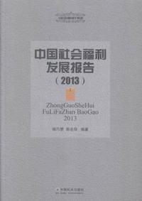 中国社会福利发展报告.2013