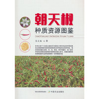 朝天椒种质资源图鉴